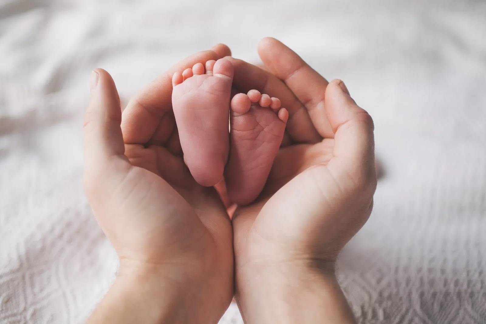 Adult hands gently cradling a newborn baby's feet on white bedding.